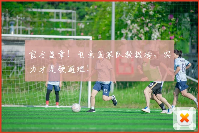 官方盖章！电竞国家队数据榜，实力才是硬道理！
